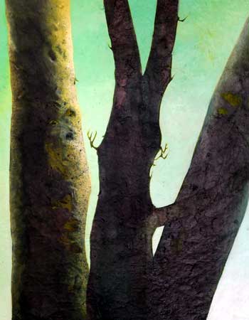Martin Hautz: feu de for&ecirc;t 8